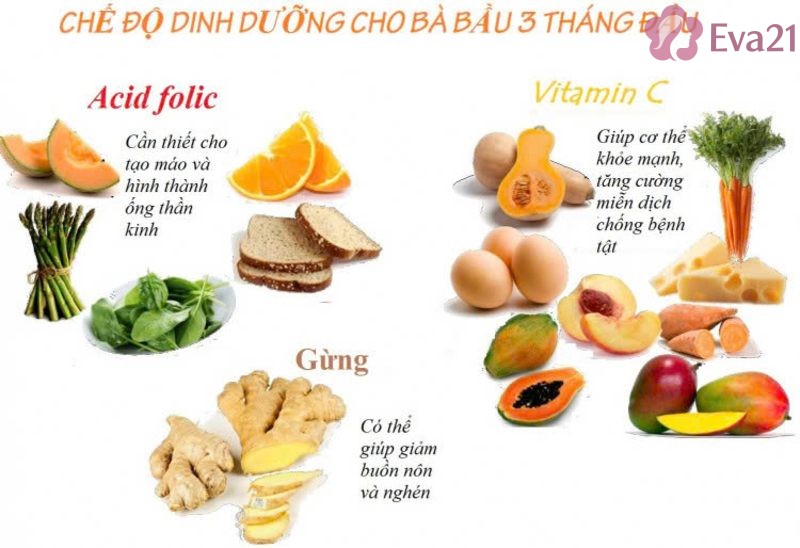 Tầm quan trọng của chế độ dinh dưỡng trong 3 tháng đầu thai kỳ