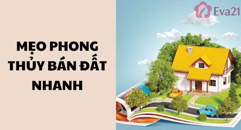 Thông tin tổng quan về những mẹo bán đất nhanh