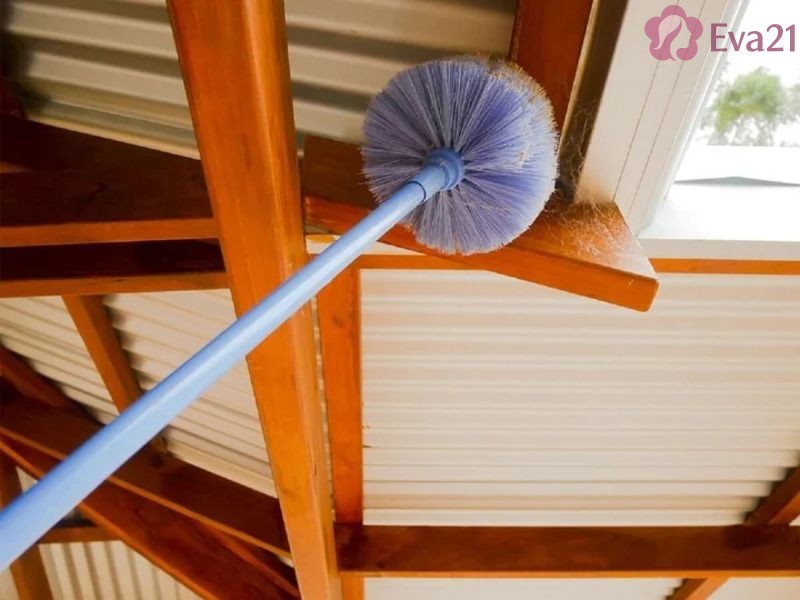 Những phương pháp vật lý giúp đuổi nhện khỏi nhà hiệu quả